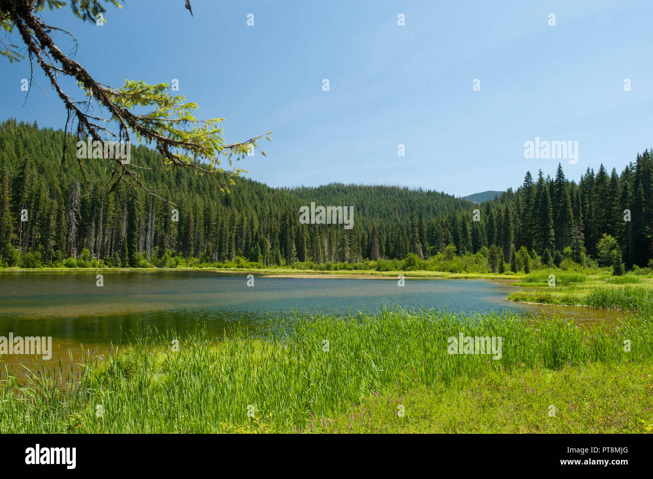 Lake Ann in the Mount Jefferson Wilderness, near Idanha, Oregon Stock Photo
