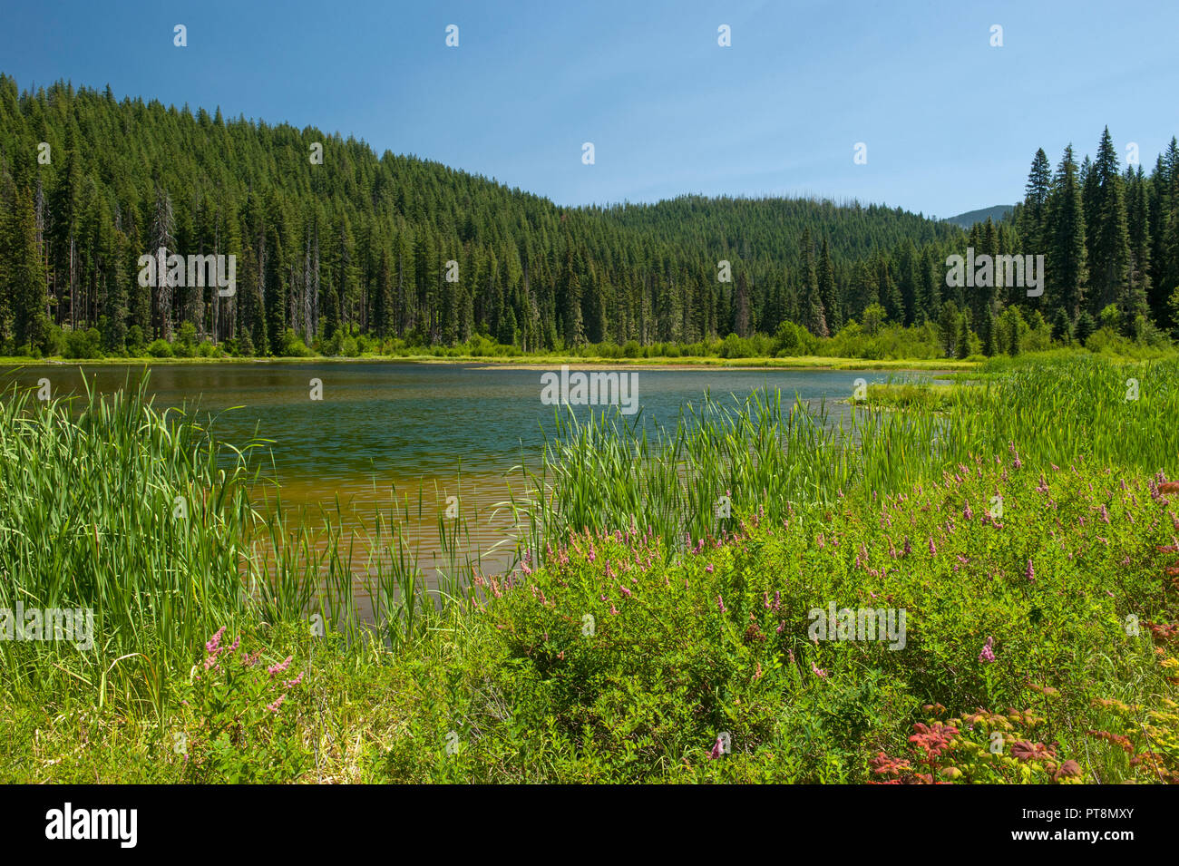 Idanha oregon hires stock photography and images Alamy