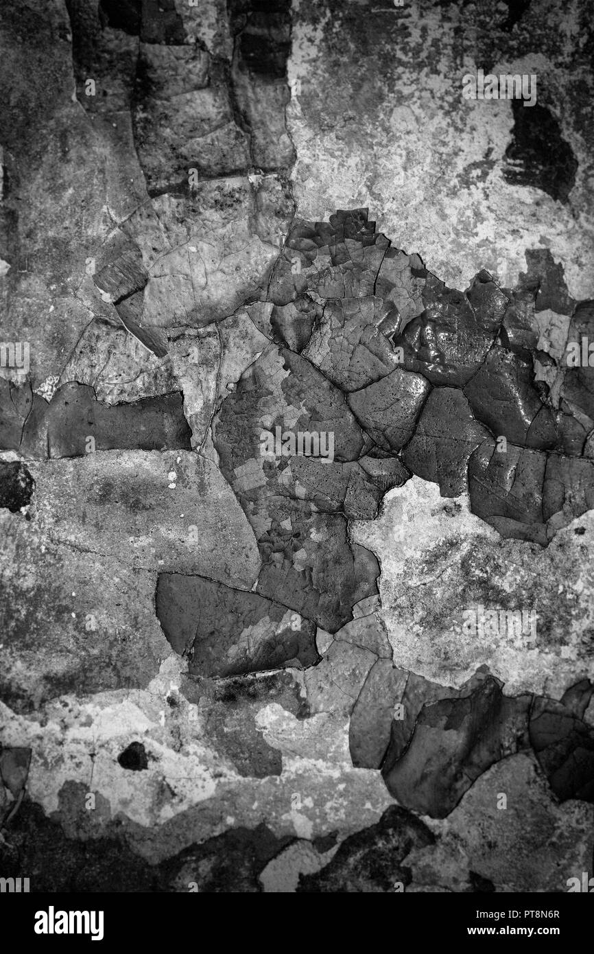 Peeling paint on a cement wall Stock Photo Alamy