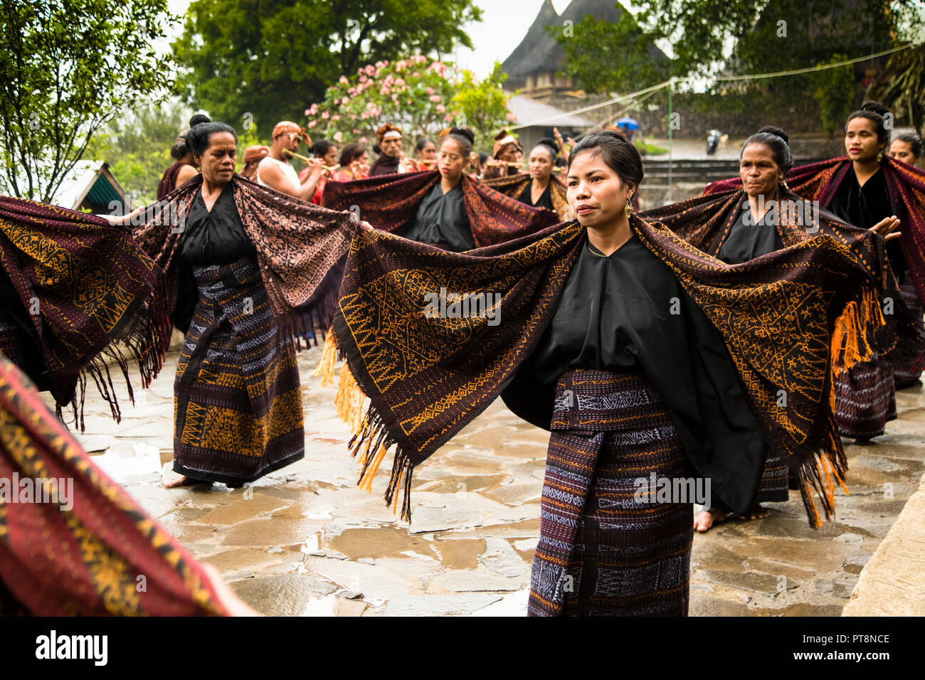 Women in black tops and ikat wraparound skirts perform a traditional welcome dance, their fringed ikat shawls spread wide, in front of the thatched-roof houses of a mountain village near Moni, Flores, Indonesia. Stock Photo