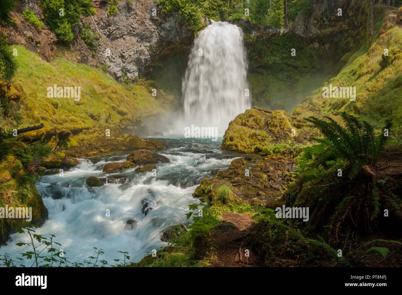 Sahalie Falls on Oregon's McKenzie River Stock Photo