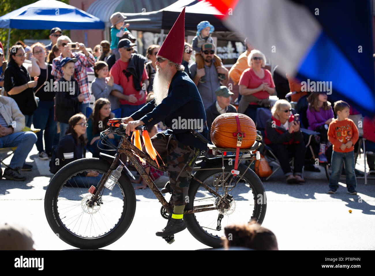 pumpkin Damariscotta Pumpkin Fest Stock Photo Alamy