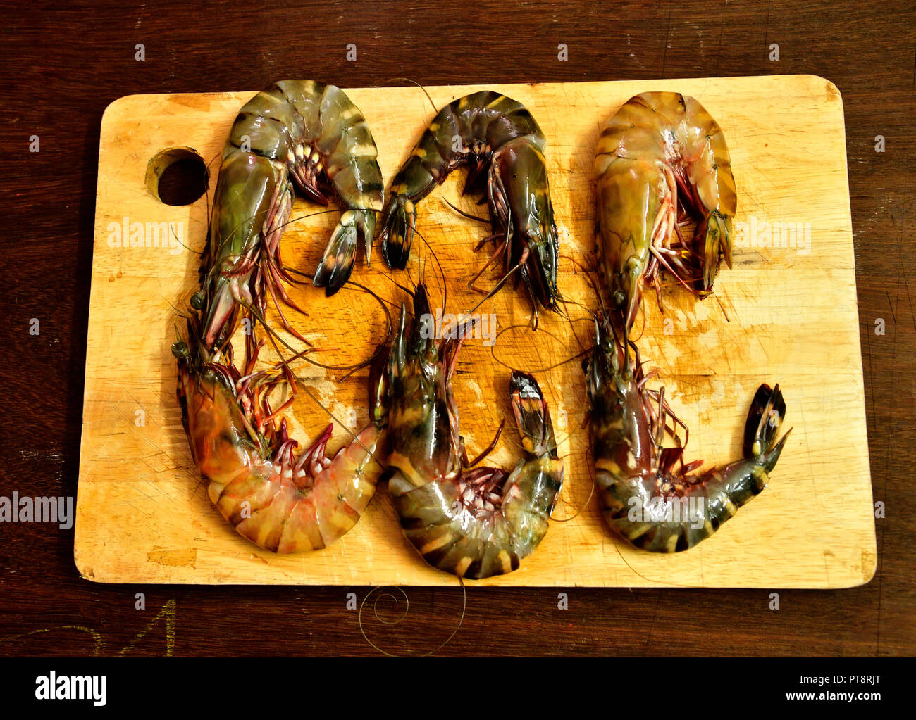 Large Penaeus monodon, or the giant tiger prawn or Asian tiger shrimp. Tiger prawns with Indian