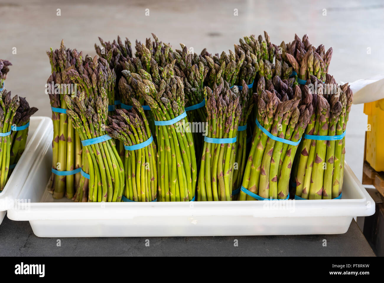 Trays of bunched asparagus for sale at a farm market in Yakima Washington Stock Photo