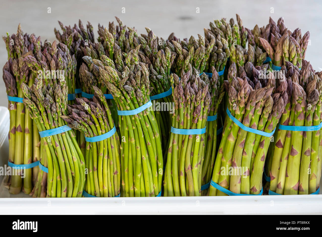 Trays of bunched asparagus for sale at a farm market in Yakima Washington Stock Photo