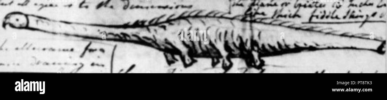 Stronsay beast hires stock photography and images Alamy