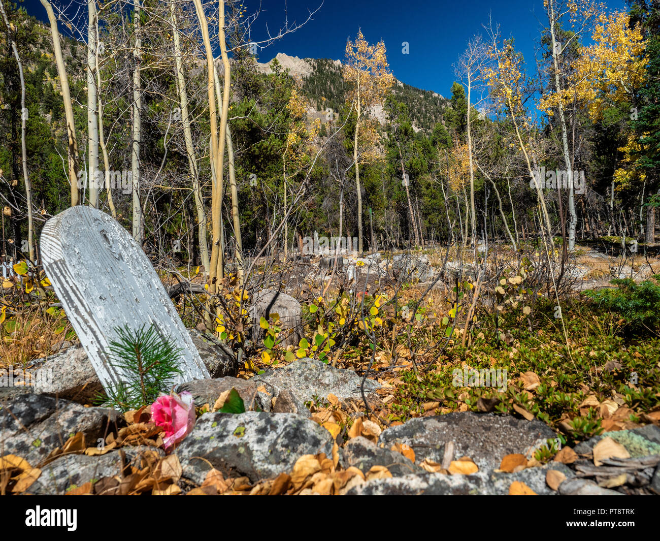 Old unmarked grave with hires stock photography and images Alamy