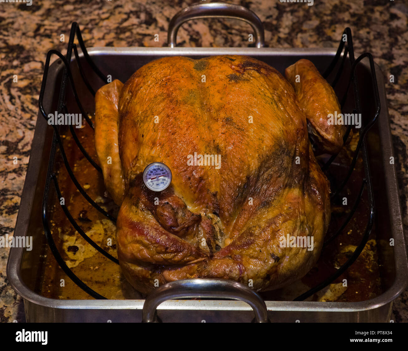 Turkey with Thermometer Stock Photo