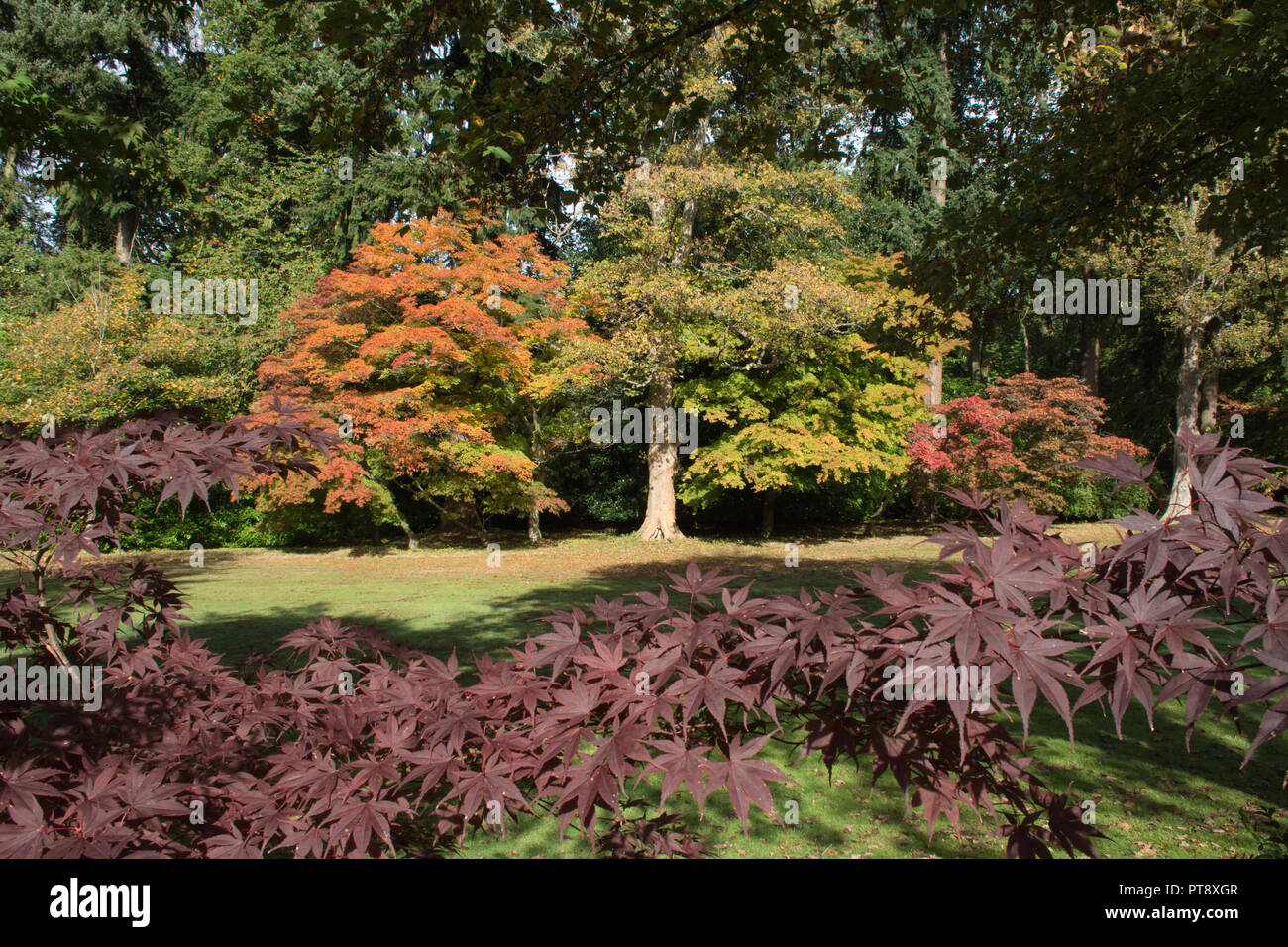 Autumn colours at Tylney Hall and gardens, a grand Victorian mansion and now an upscale country hotel, near Rotherwick in Hampshire, UK Stock Photo