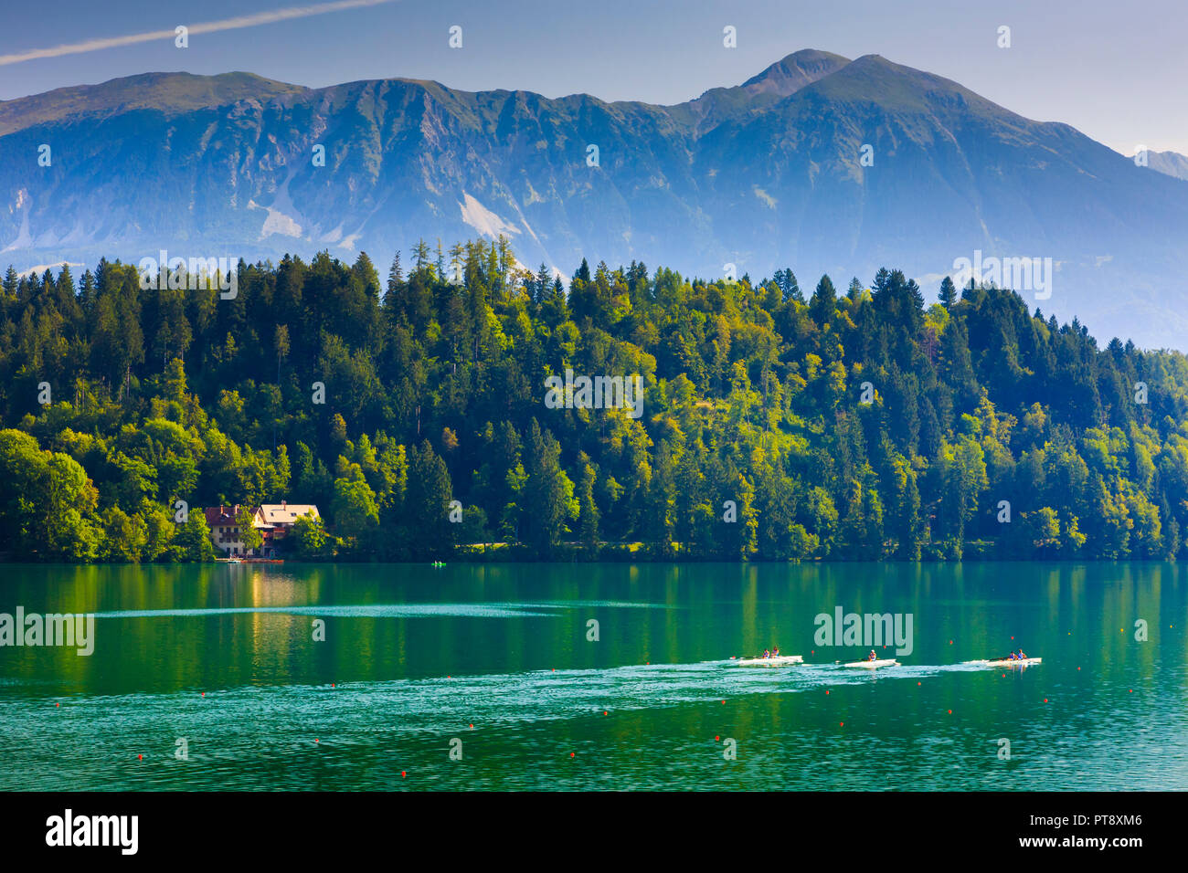 Lake in a forest hi-res stock photography and images - Alamy