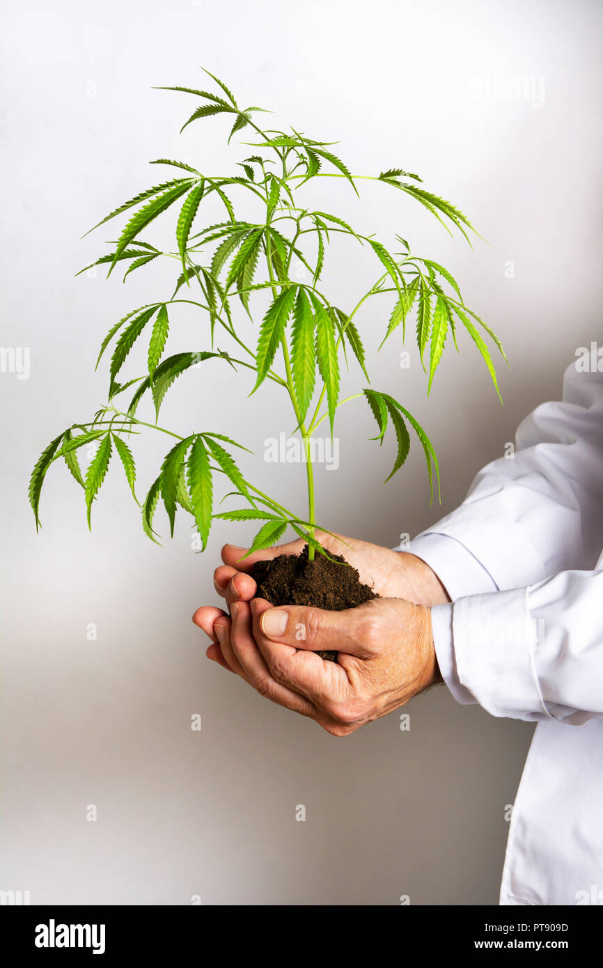 Man holding soil and plant hi-res stock photography and images - Alamy
