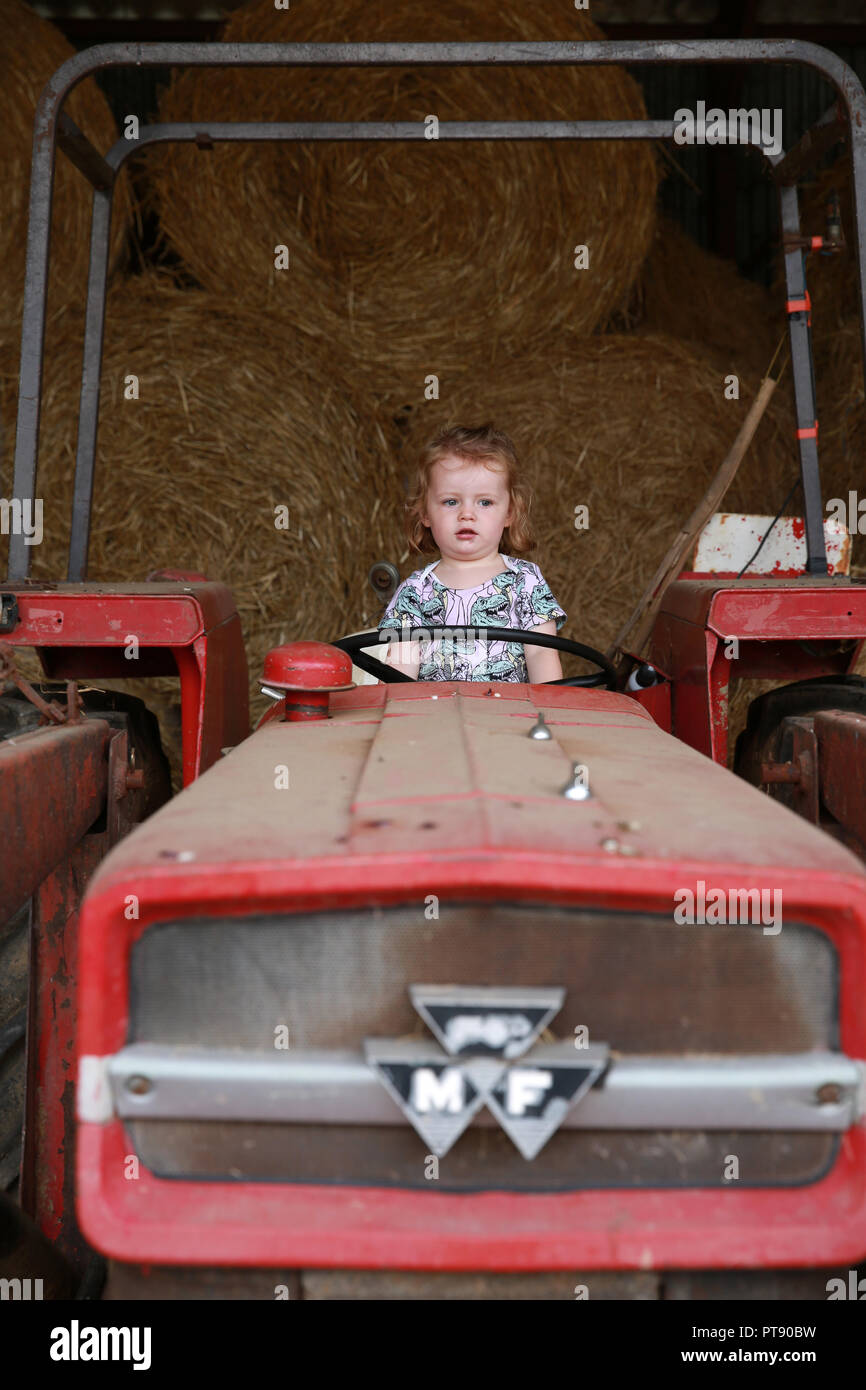 Toddler playing on a tractor Stock Photo Alamy