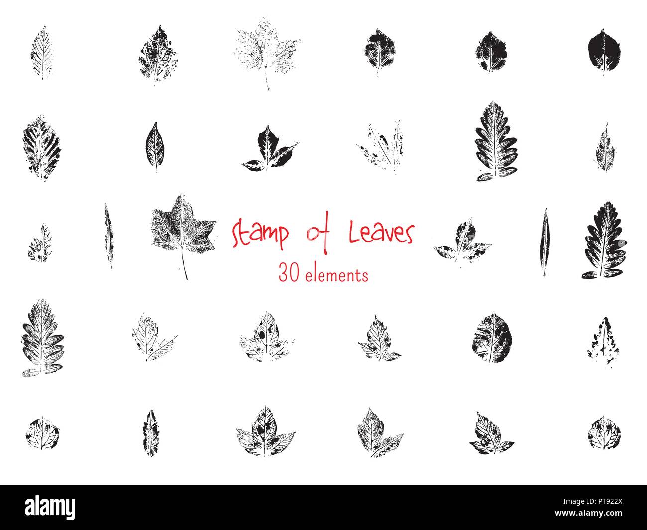 Collection of black paint seal leaves of trees and plants Stock Vector