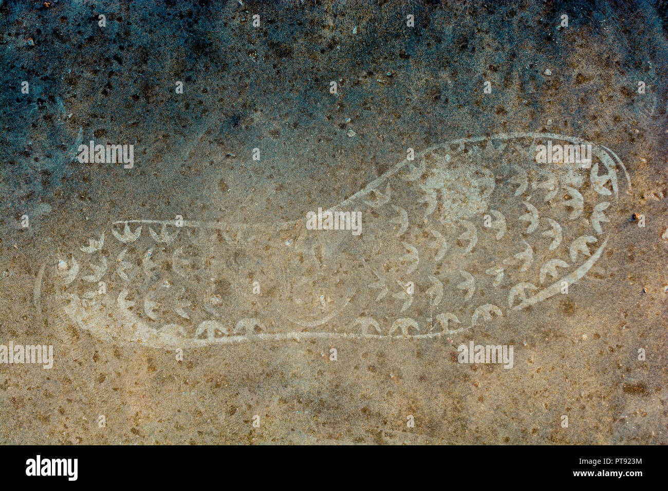 Footstep pattern on as abstract grunge background patterns Stock Photo