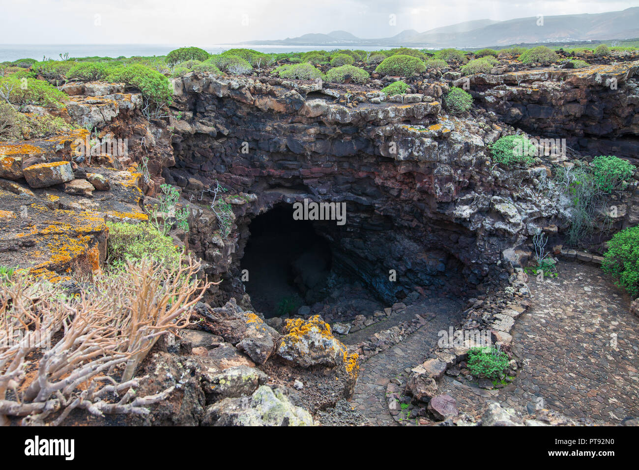 Unique Lanzarote landscape with cave and lava field covered by plants. Nature background. Canary islands, Spain Stock Photo