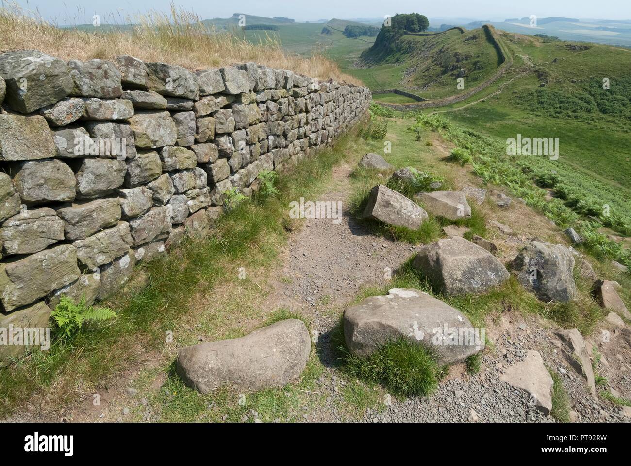 Hadrian's Wall, 2006. Creator: Ethel Davies. Stock Photo