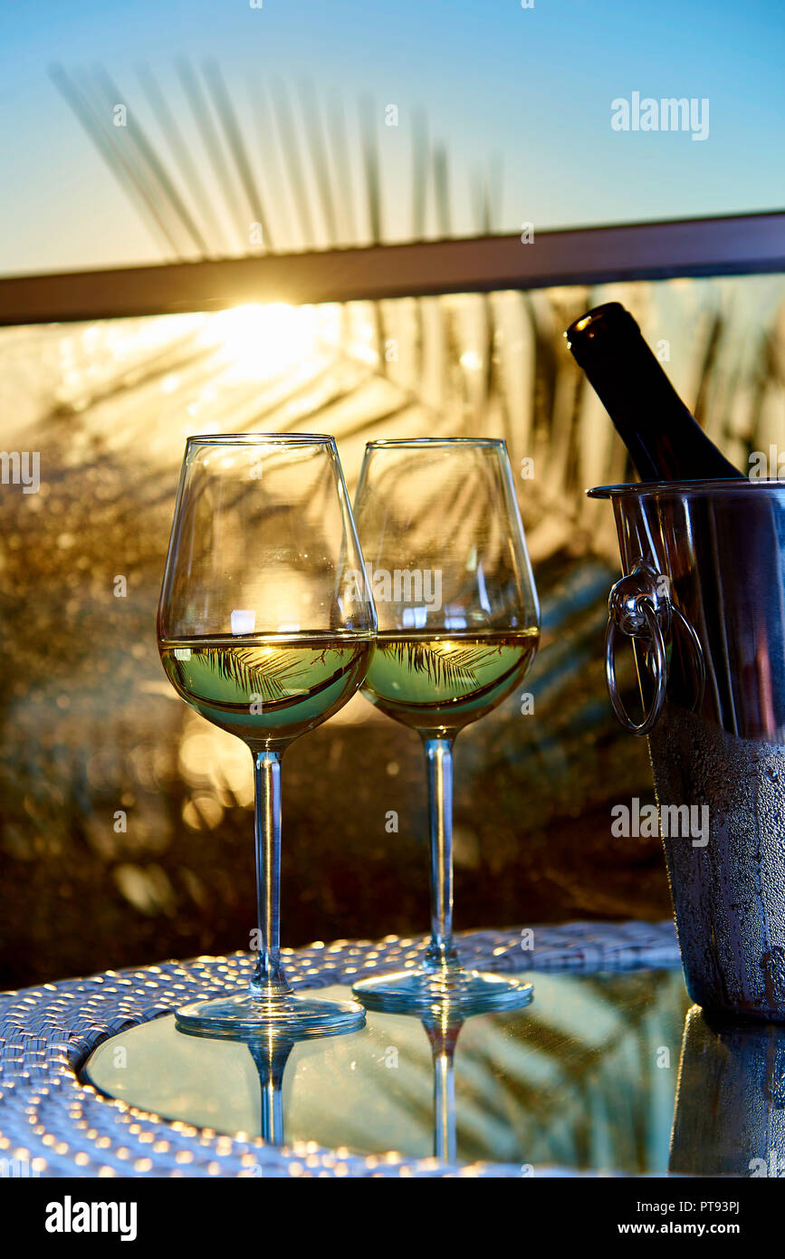 https://c8.alamy.com/comp/PT93PJ/two-glasses-of-white-cold-wine-on-a-glass-table-on-the-balcony-in-the-rays-of-the-sunset-against-the-background-of-the-leaves-of-a-palm-tree-PT93PJ.jpg
