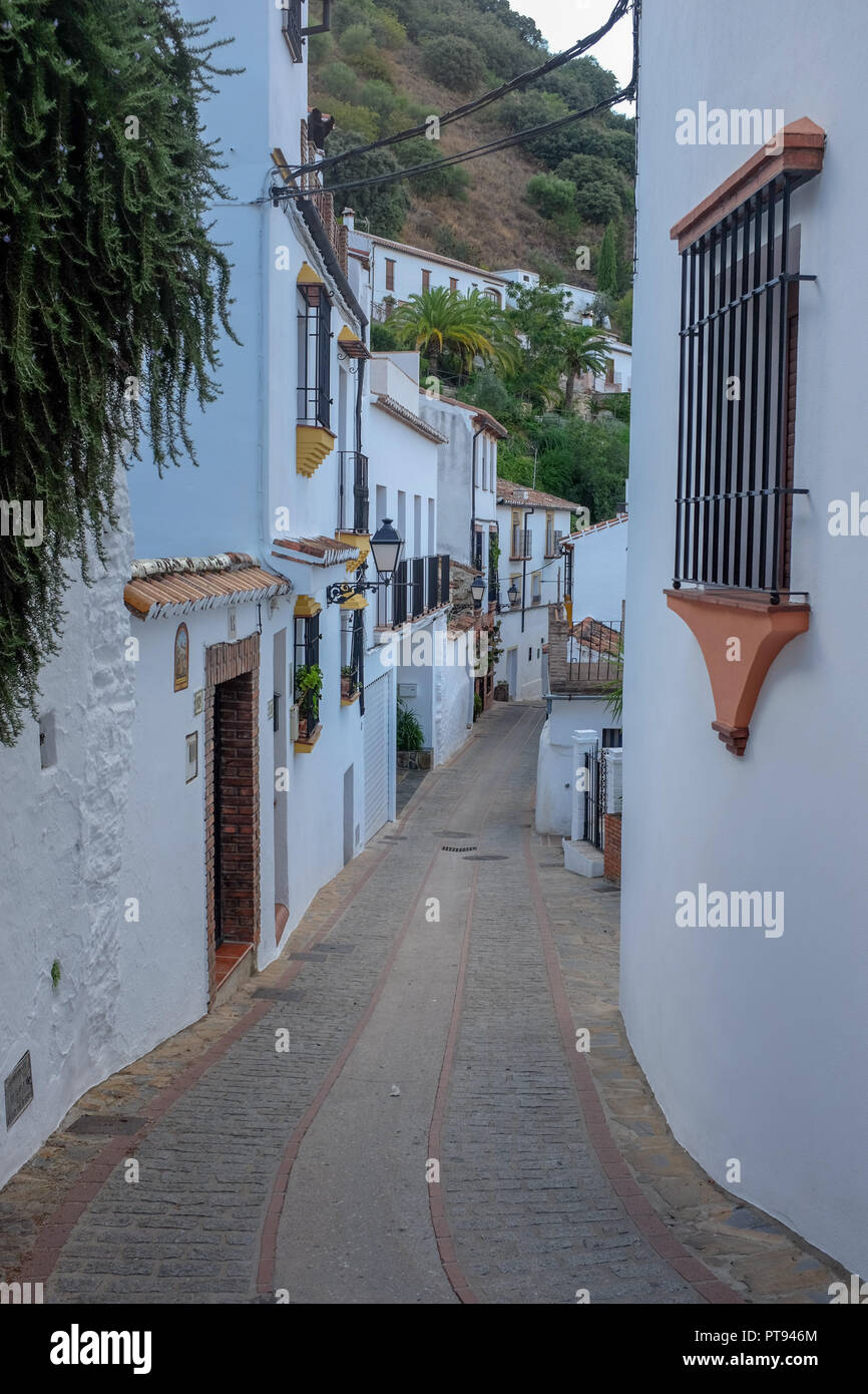 The 'white village' of Benalauría is home to just a few hundred people. It is located in the Serranía de Ronda, or mountains of Ronda, in the province Stock Photo
