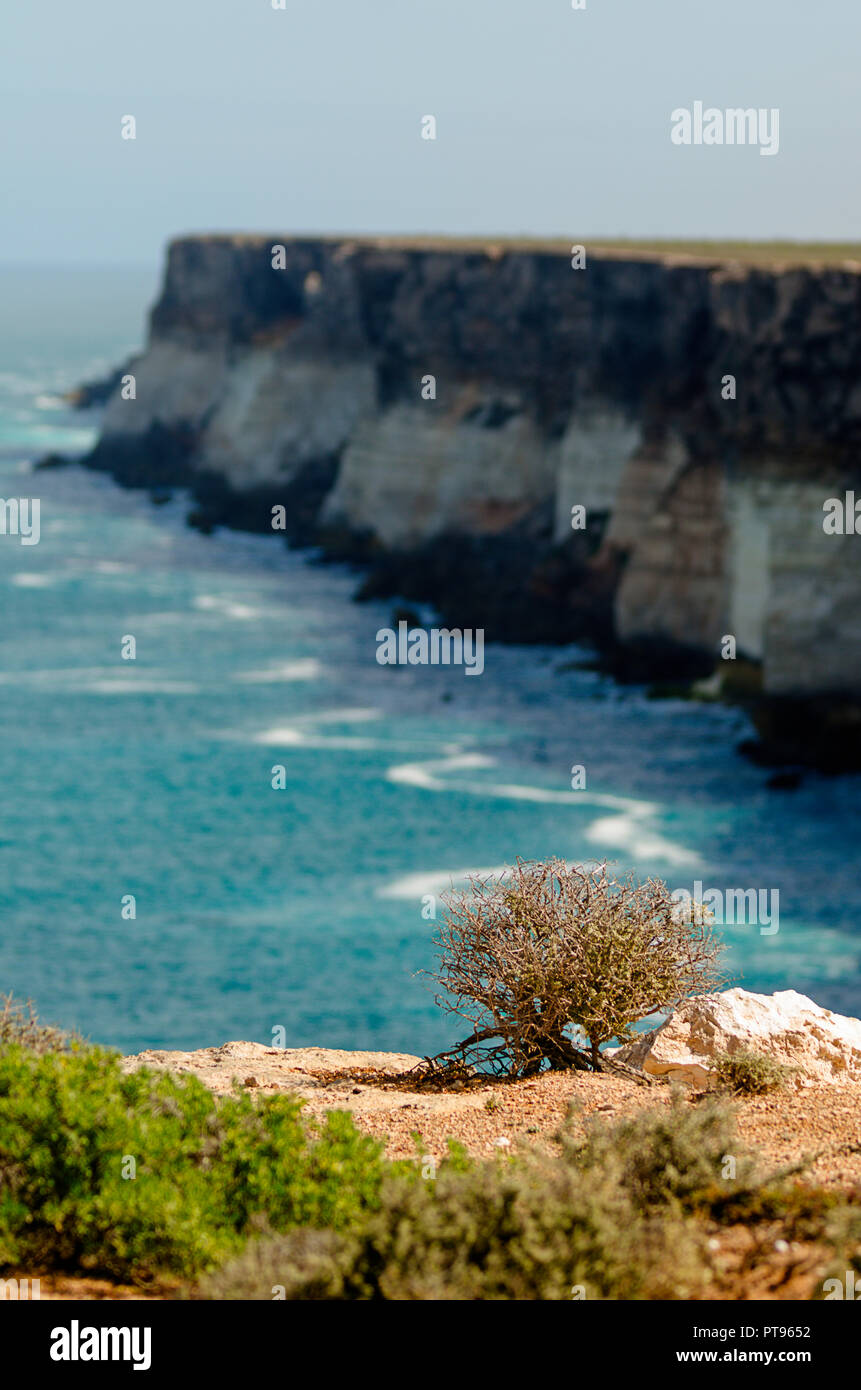 Bunda Cliffs Bordering The Nullarbor Plain South Australia Stock Photo ...