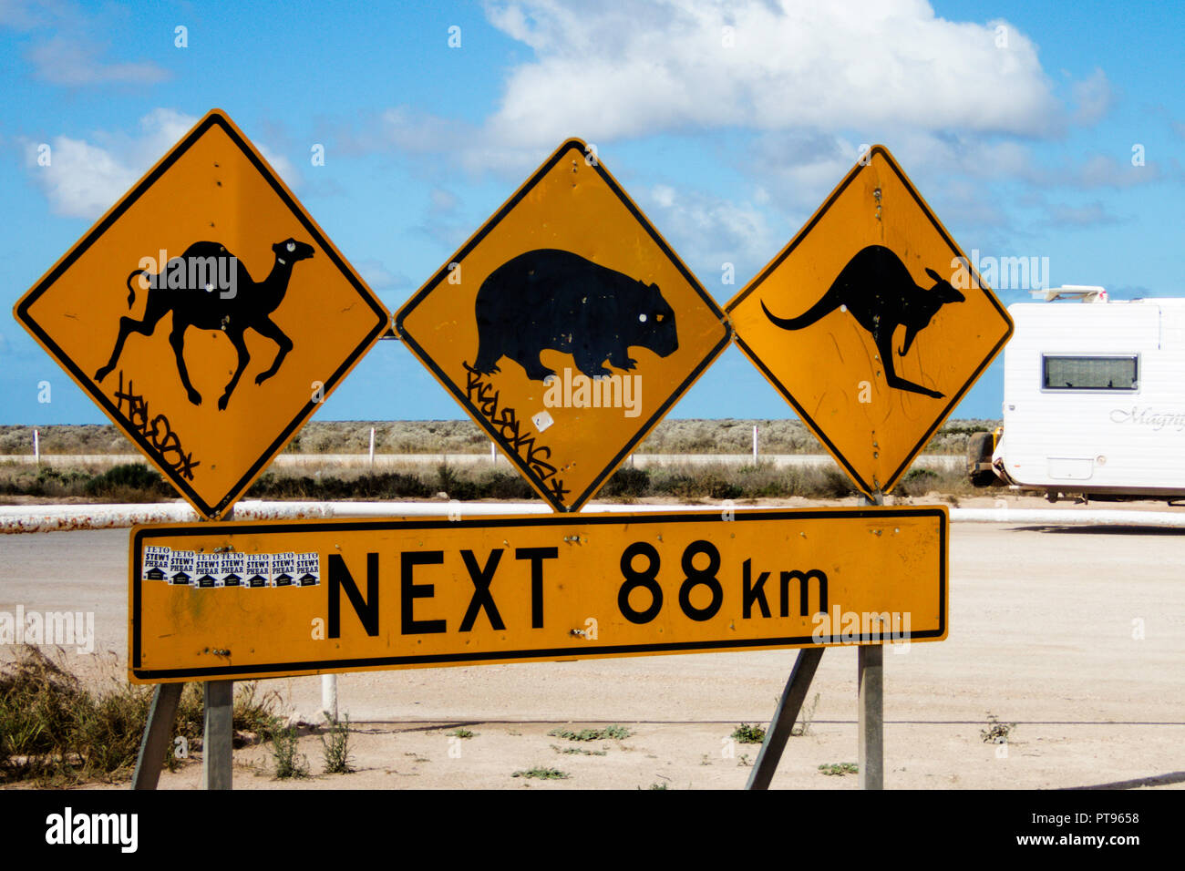 Road sign warning of wildlife on the road at the Nullarbor Roadhouse South Australia Stock Photo