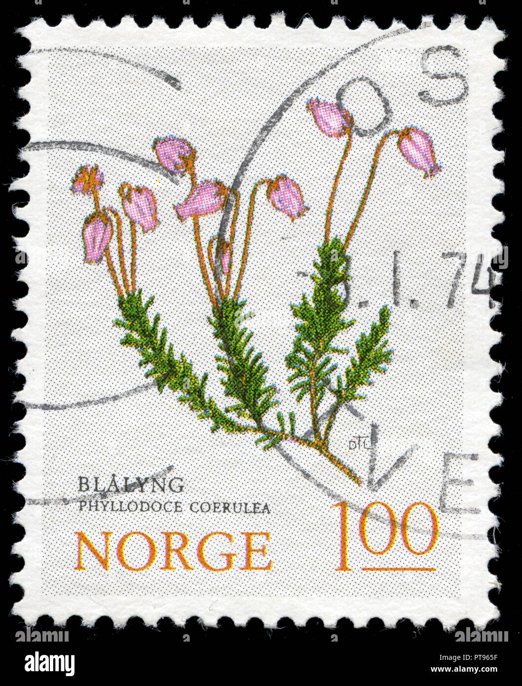 Postmarked stamp from Norway in the Flowers series issued in 1973 Stock Photo