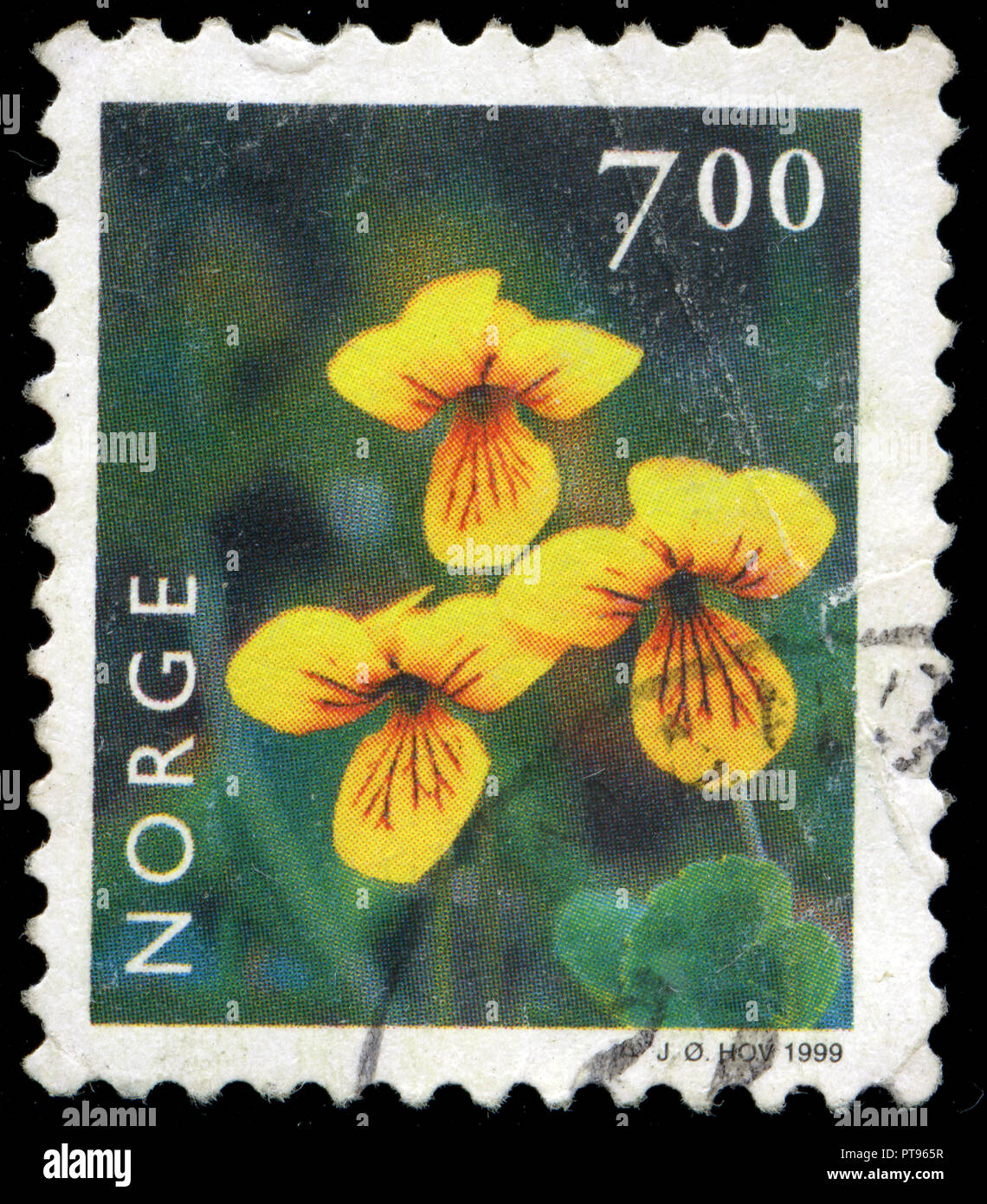 Postmarked stamp from Norway in the Flowers series issued in 1999 Stock Photo