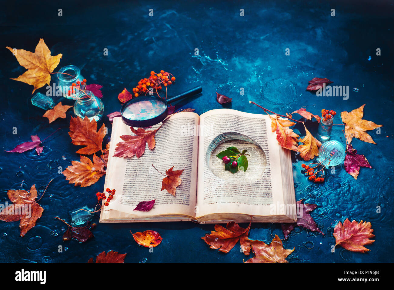 Secret storage book with last summer green leaves in autumn rain. Preserving fleeting joys concept with copy space Stock Photo