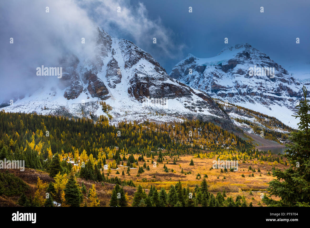 Mount Assiniboine Provincial Park is a provincial park in British Columbia, Canada, located around Mount Assiniboine. Stock Photo