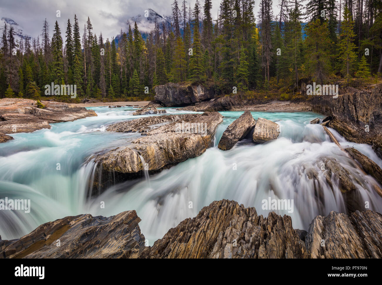 Natural Bridge in Yoho National Park, British Columbia, Canada Stock Photo Alamy