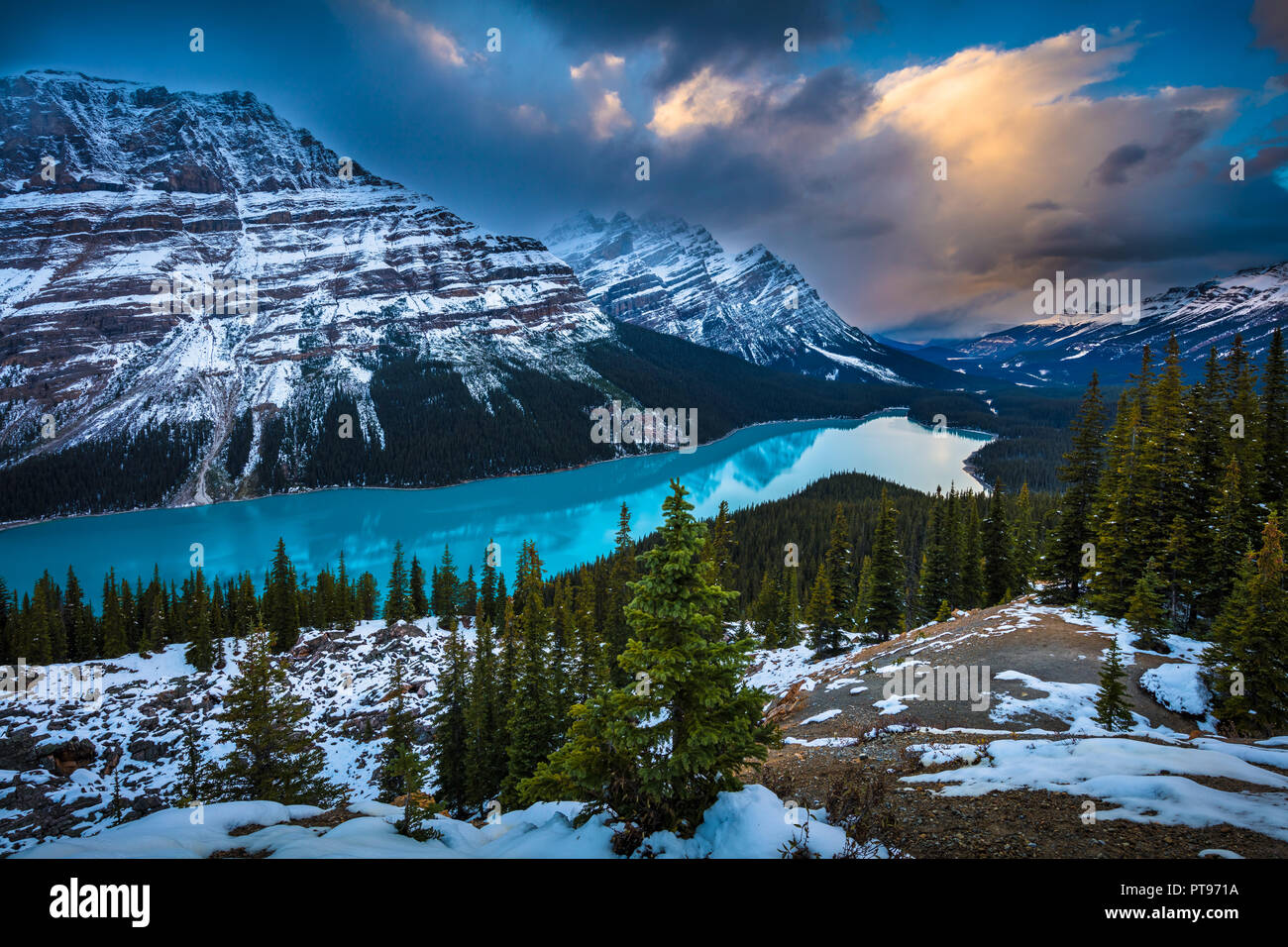 Peyto Lake is a glacier-fed lake in Banff National Park in the Canadian Rockies. The lake itself is easily accessed from the Icefields Parkway. Stock Photo