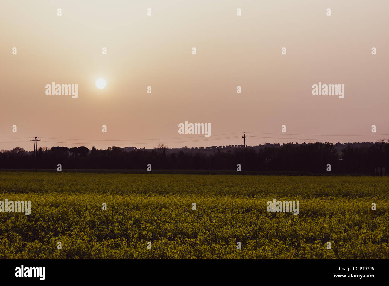 Sunset with sand suspended in the atmosphere, coluring the sky red, over some cultivated fields with yellow flowers Stock Photo