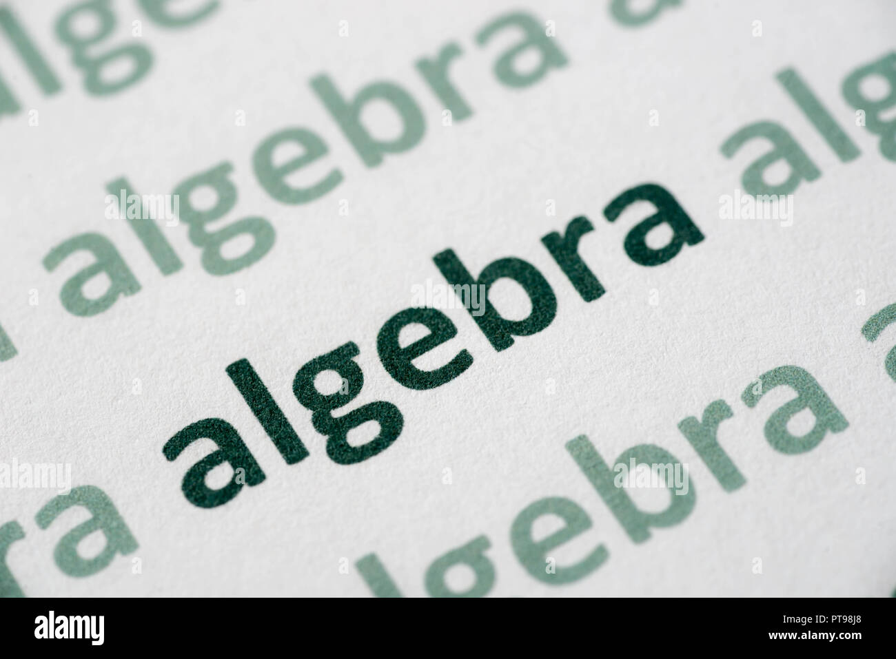 word algebra printed on white paper macro Stock Photo