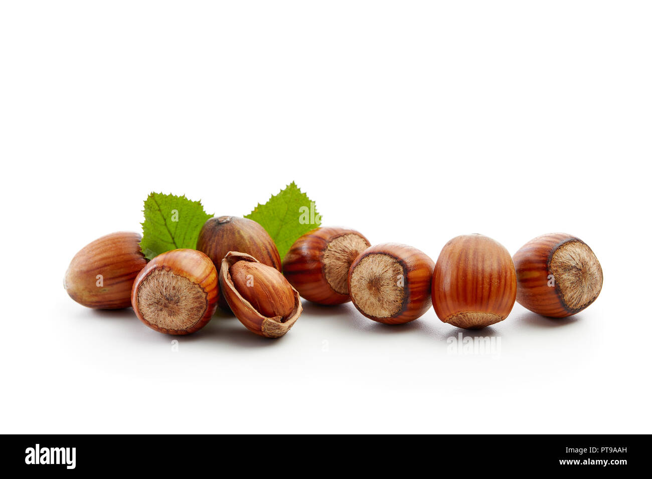 Freshly picked hazelnuts with leaf on white background, close up. Stock Photo
