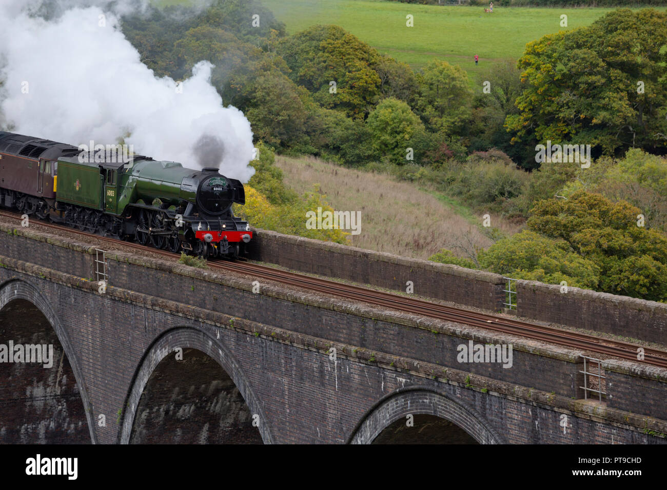 Flying Scotsman on Forder Viaduct as it enters Cornwall on its first trip to the County Stock Photo