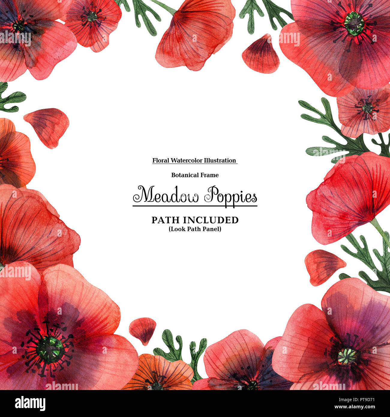 Square frame from meadow red poppies for decoration. Watercolor on a ...