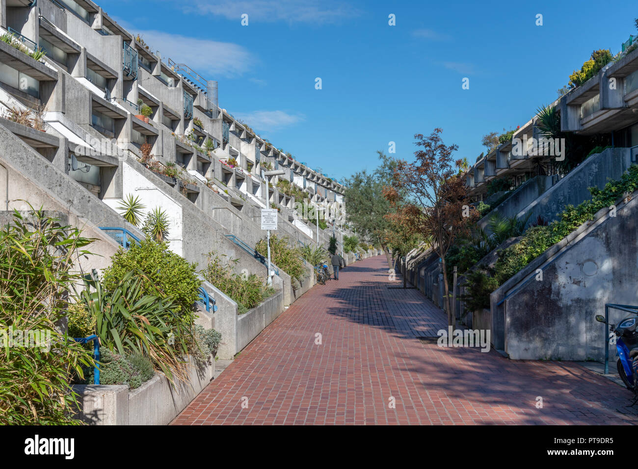 Alexandra Road Estate (also known as Rowley Way) Camden. Designed by the architect Neave Brown. Brutalist but low enough to be on a human scale. Stock Photo