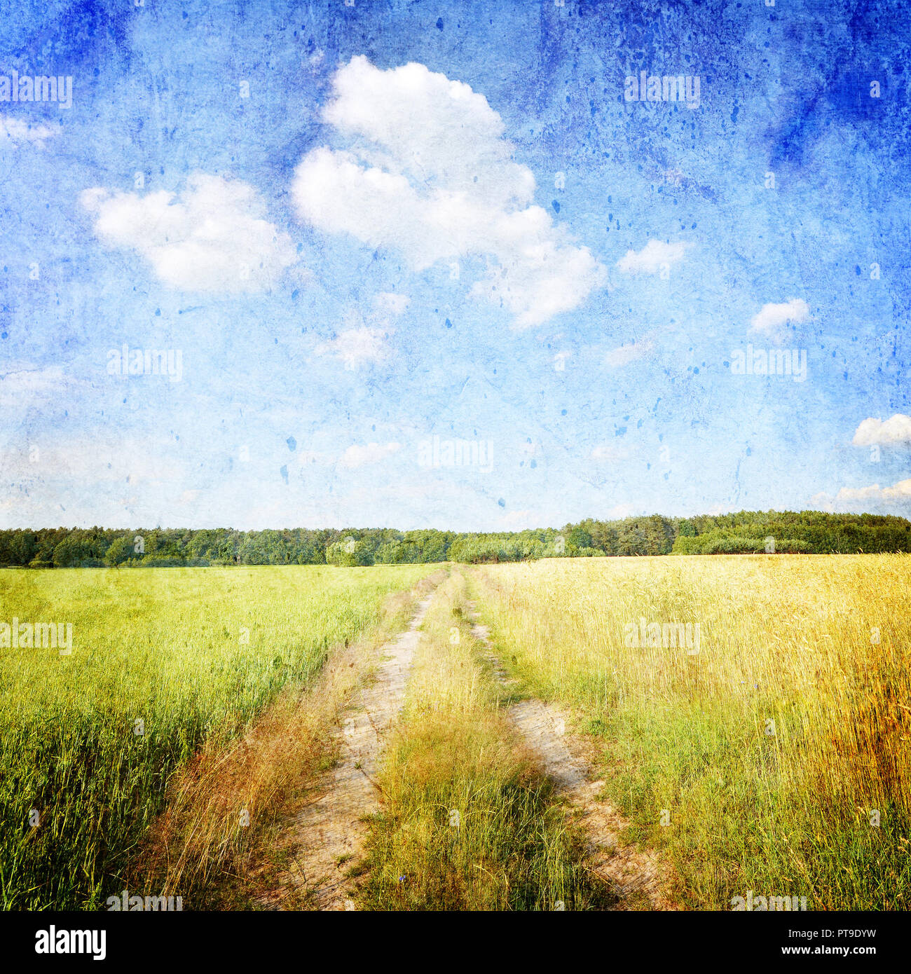 Summer landscape with road and rye fields- vintage version Stock Photo ...