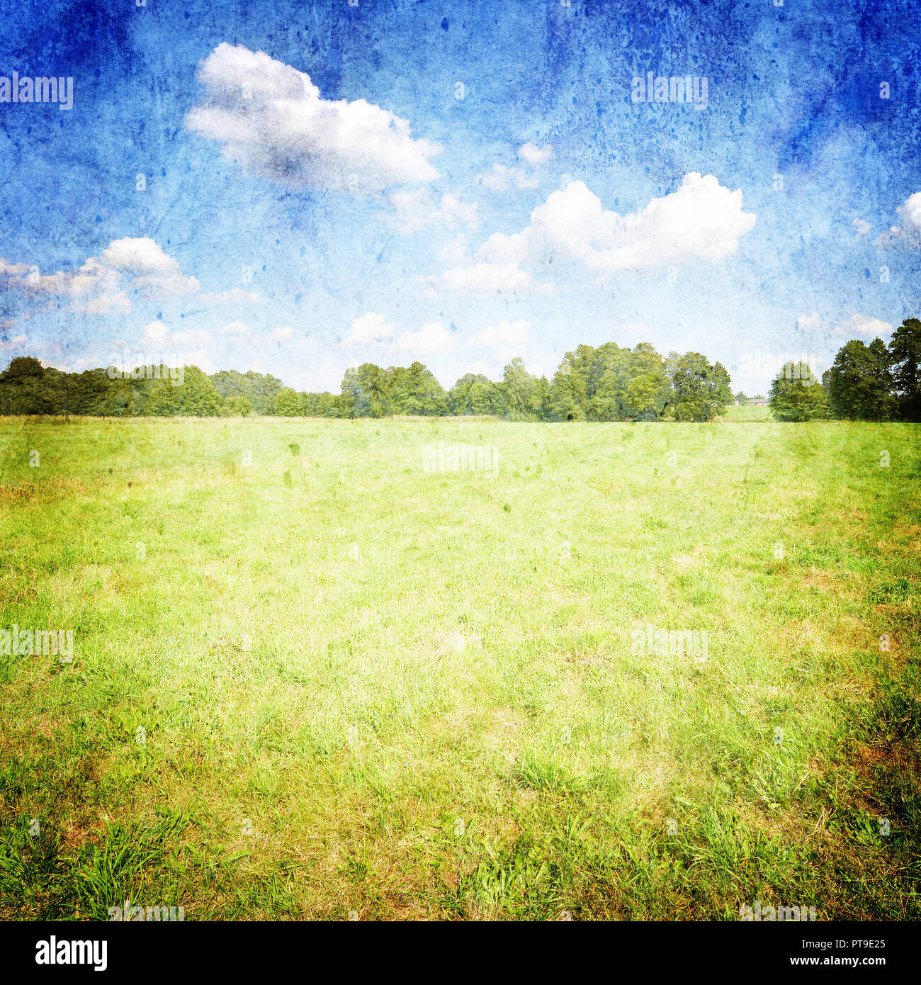 Beautiful summer landscape with green grass and blue cloudy sky ...