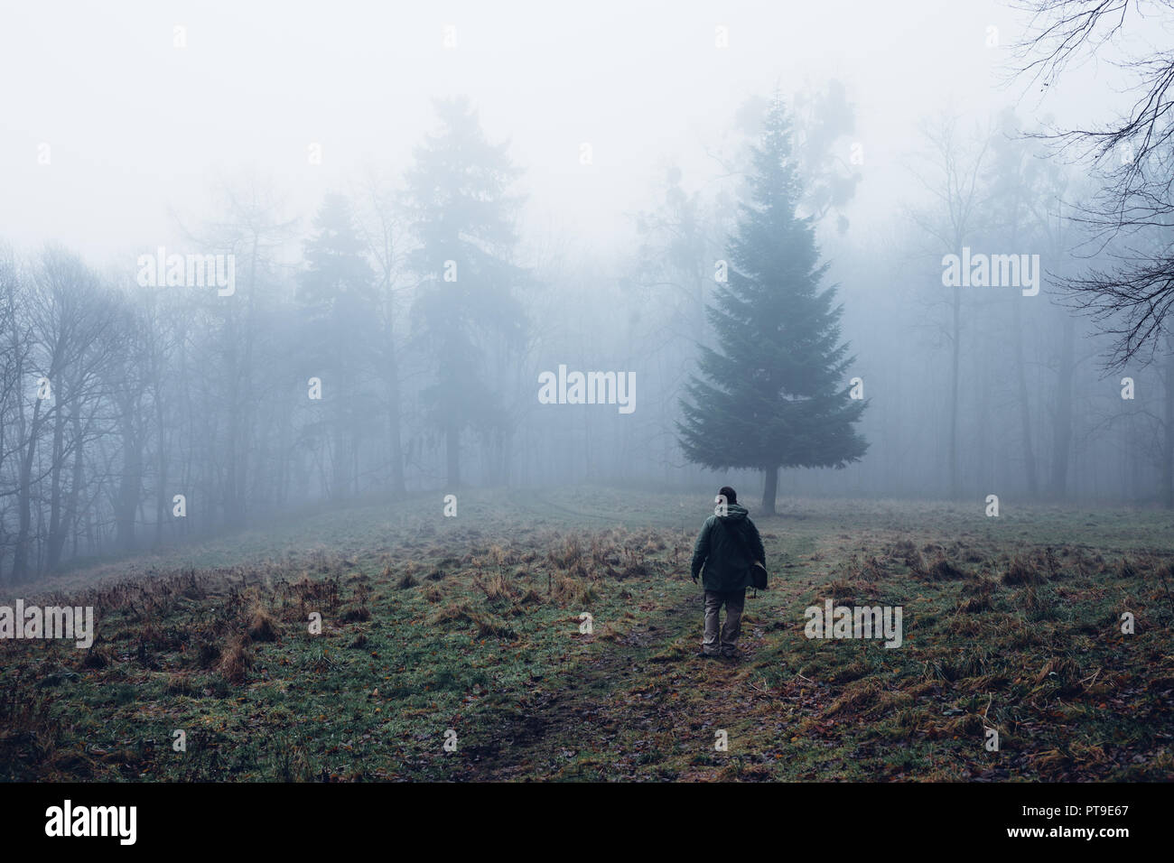 A young man stands in the mist on a Meadow in front of a forest Stock Photo