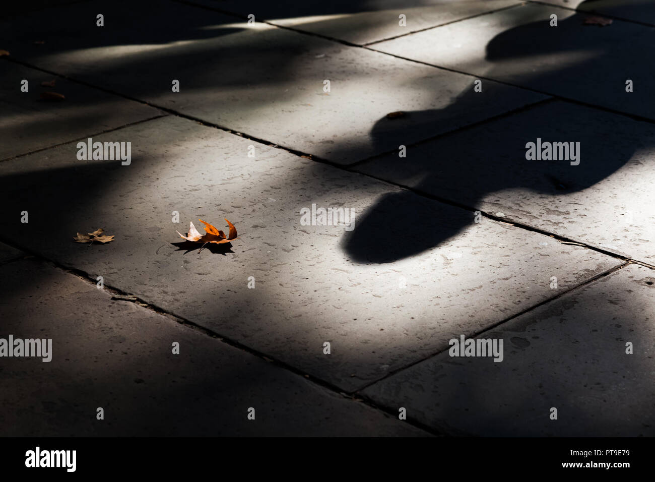 Dark shadow on Autumn London street Stock Photo - Alamy