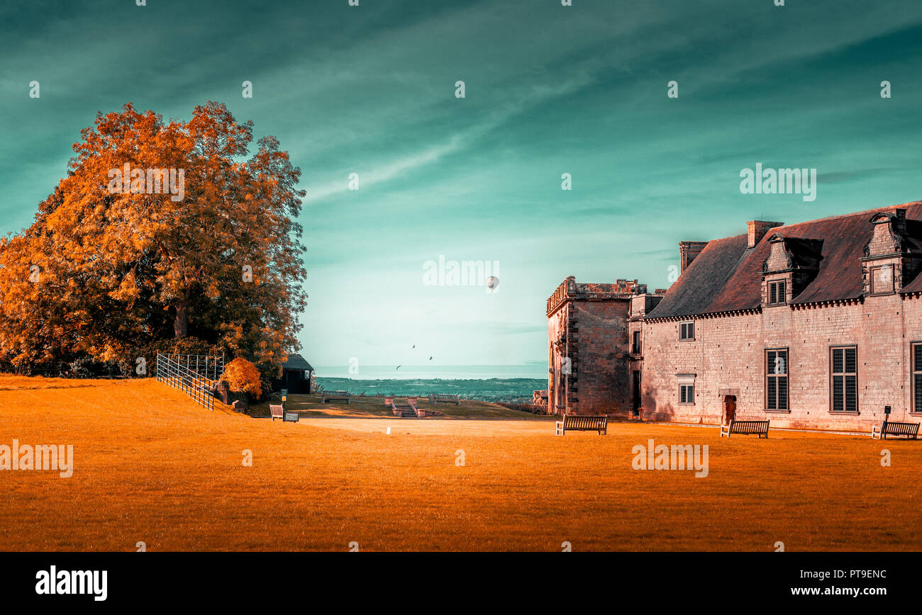 A large tree and an old building against a teal sky sitting on orange grass in Autumn weather. Stock Photo