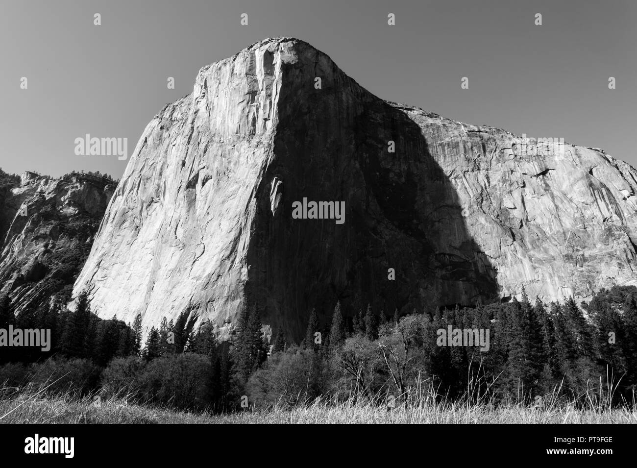 Forest climbers Black and White Stock Photos & Images - Alamy
