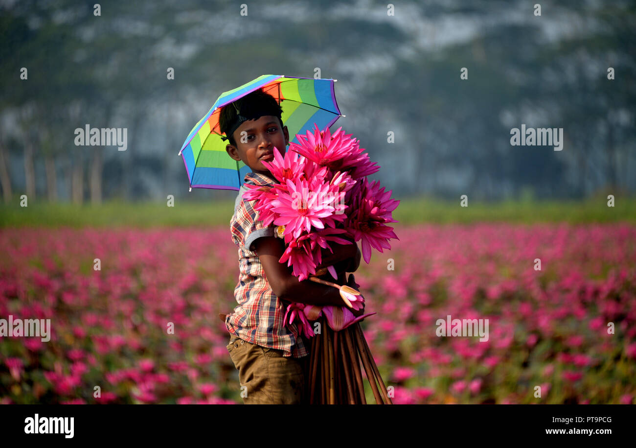Barisal. 8th Oct, 2018. A child shows red water lilies in Barisal, Bangladesh on Oct. 7, 2018. Credit: Xinhua/Alamy Live News Stock Photo