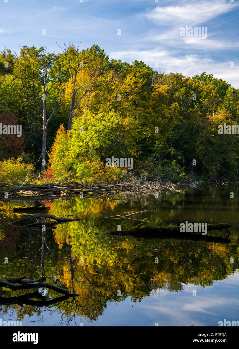 Tornow See Stock Photos Tornow See Stock Images Alamy