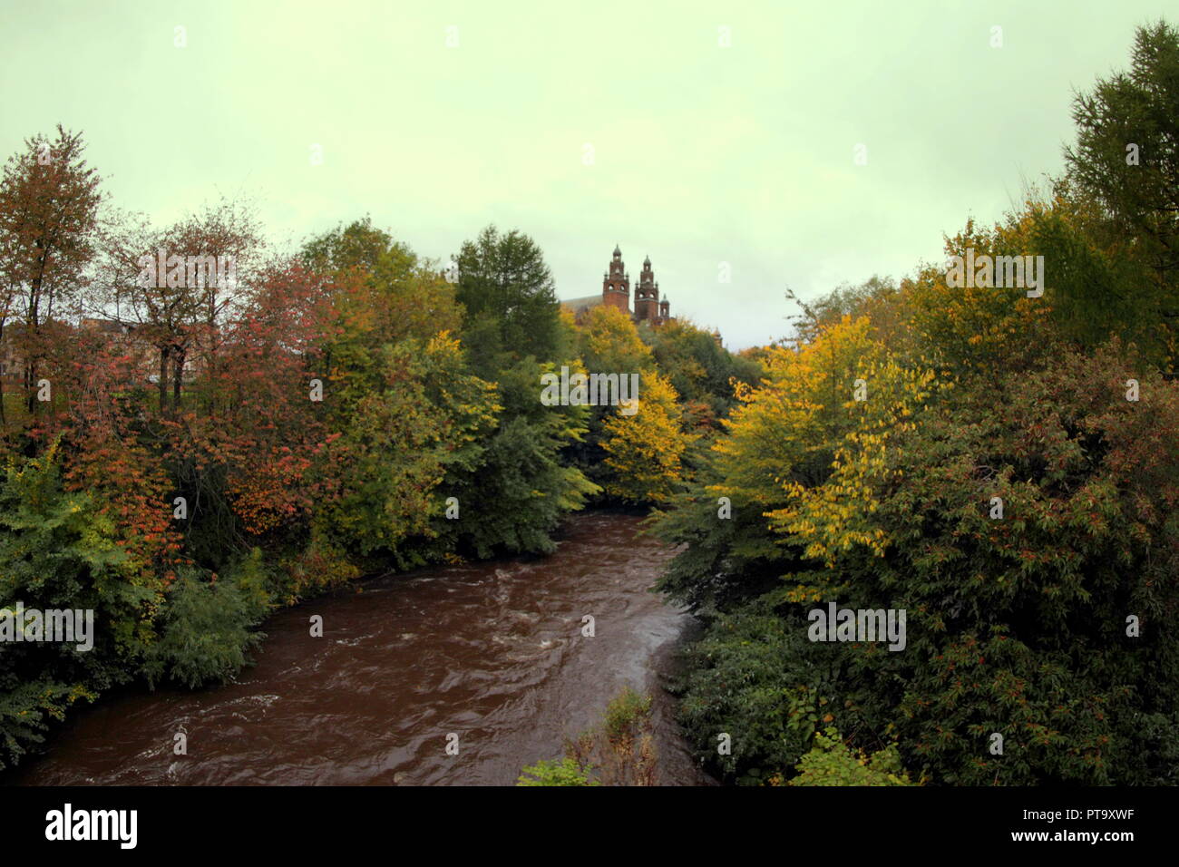 Glasgow, Scotland, UK, 8th October, 2018. UK Weather. Autumnal colour amid the rain and wind  in the leafy west end of the city in Kelvingrove  Park and the river kelvin is very full from the recent rainfalls in the background  the the Kremlin like towers of Kelvingrove museum and art gallery at the Kelvin Way Bridge. Credit: gerard ferry/Alamy Live News Stock Photo
