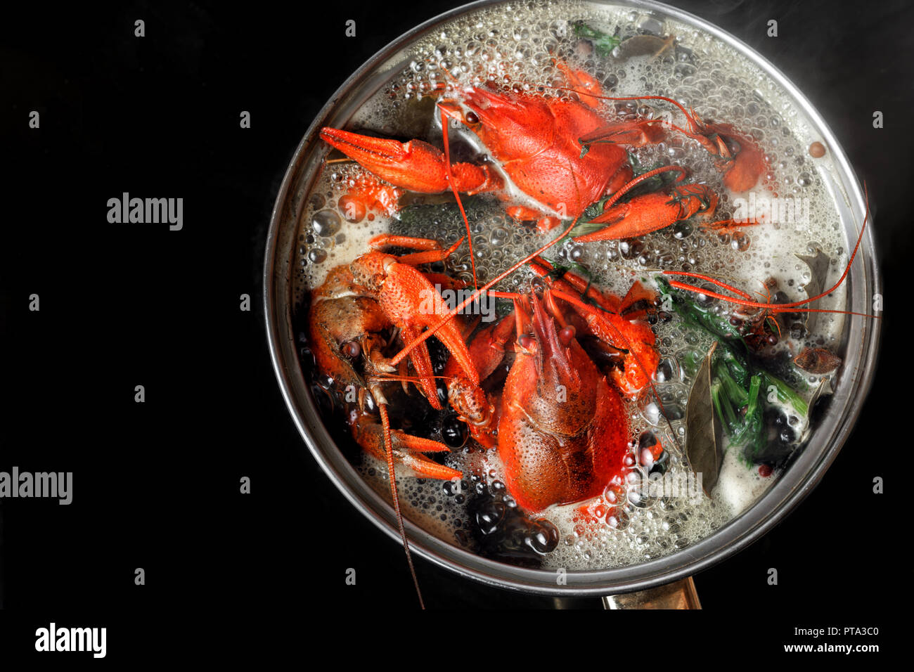 Boiled crawfish with dill and bay leaf in boiling water in saucepan on