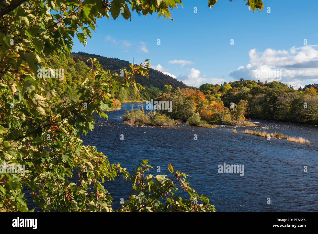 Dunkeld Spring Autumnal colours on the banks of the River Tay at Dunkeld, Perthshire ...