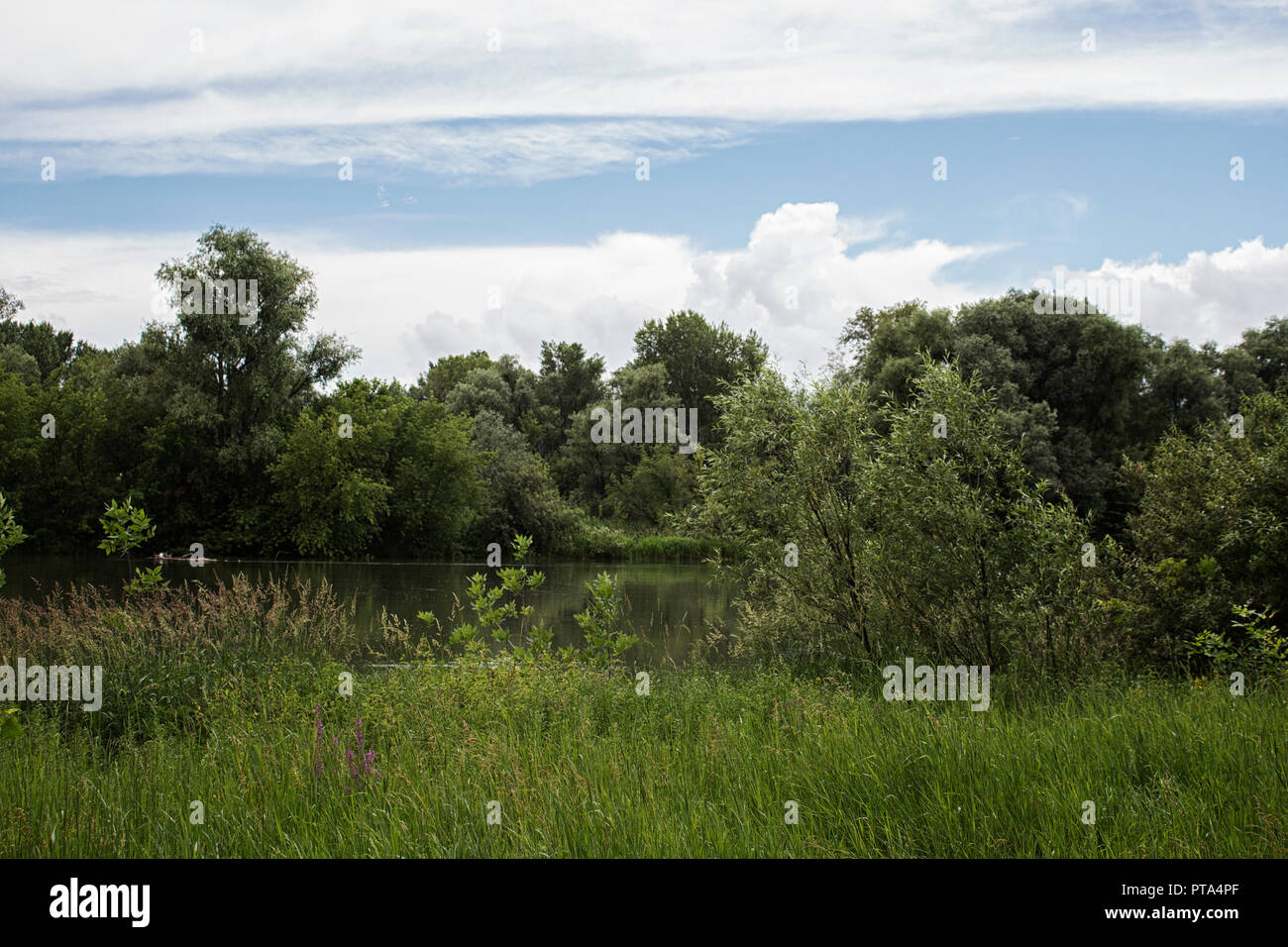 Summer landscape river hi-res stock photography and images - Alamy