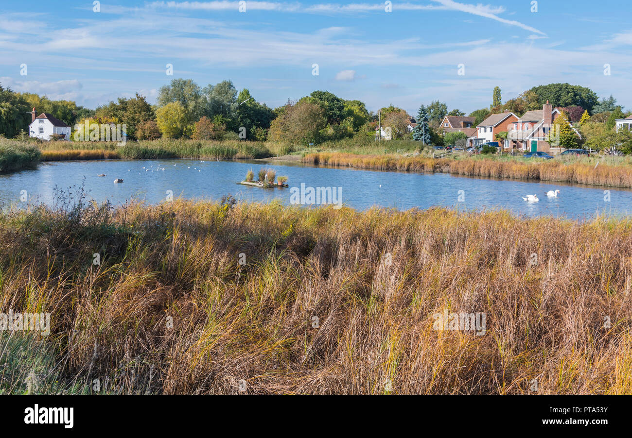 Small lake at Brook Meadow Nature Reserve in Autumn in Emsworth, Hampshire, England, UK. Stock Photo