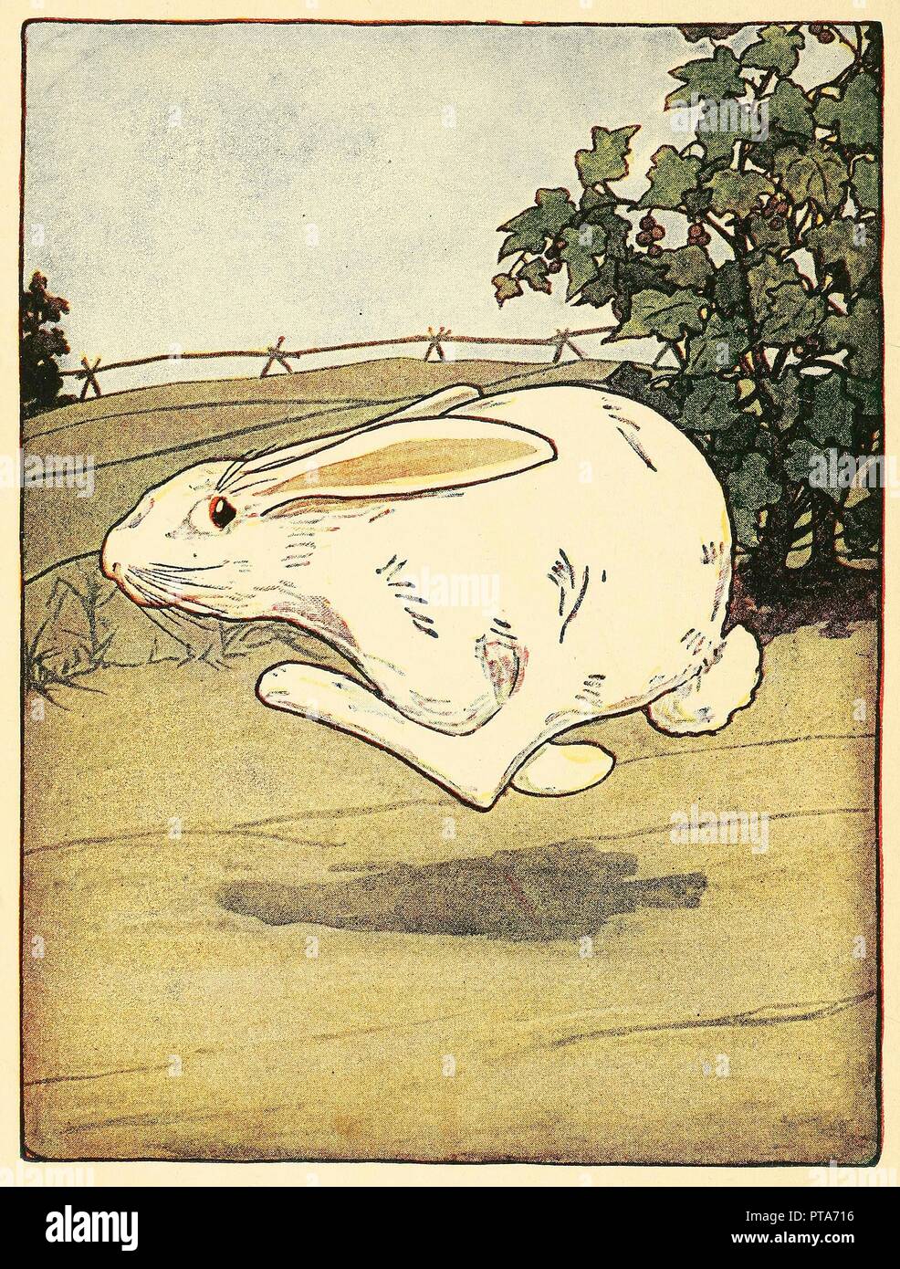 Peter never stopped running, from The Tale of Peter Rabbit, pub. 1916 (colour lithograph), 1916. Creator: American School (20th Century). Stock Photo
